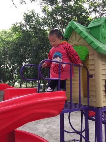 journal_insert_pic_652069159