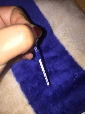 journal_insert_pic_652264472