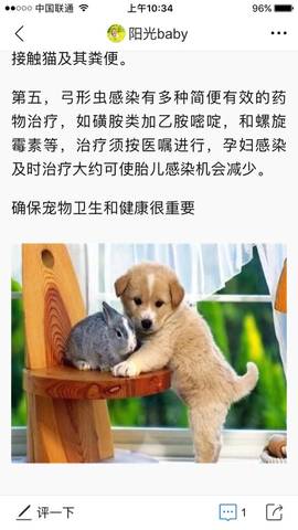 journal_insert_pic_652335057