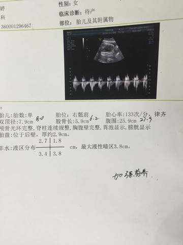 journal_insert_pic_652249988