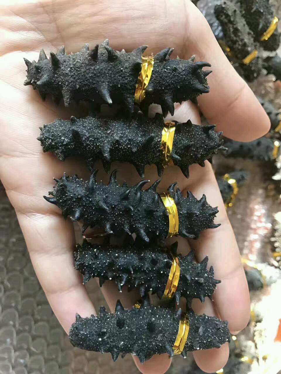 大家怀孕 吃不吃 海参？都怎么做的？