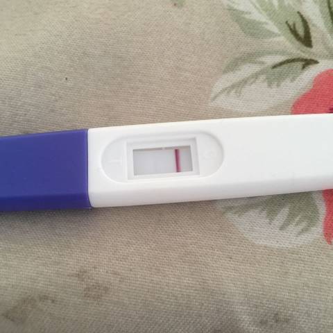 journal_insert_pic_654513470