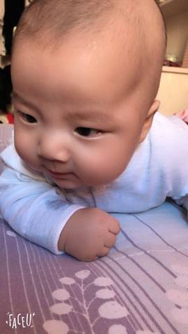 journal_insert_pic_655306450