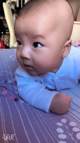 journal_insert_pic_655306440