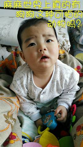 journal_insert_pic_655966808