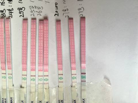 journal_insert_pic_656408704