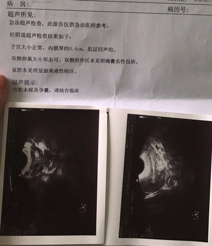 journal_insert_pic_656309767