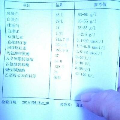 journal_insert_pic_656557981