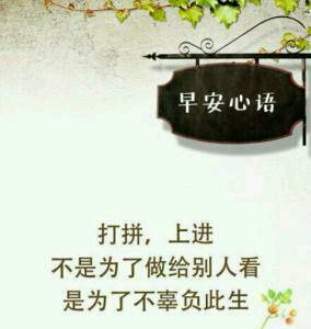 journal_insert_pic_657012447