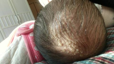 journal_insert_pic_658546996