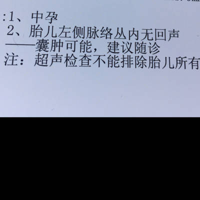 journal_insert_pic_659983483