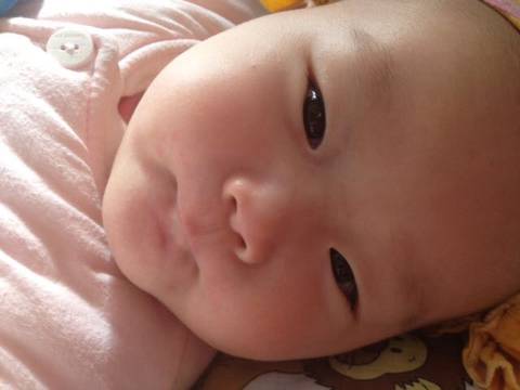 journal_insert_pic_660125100