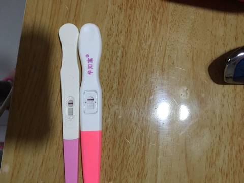 journal_insert_pic_660386010