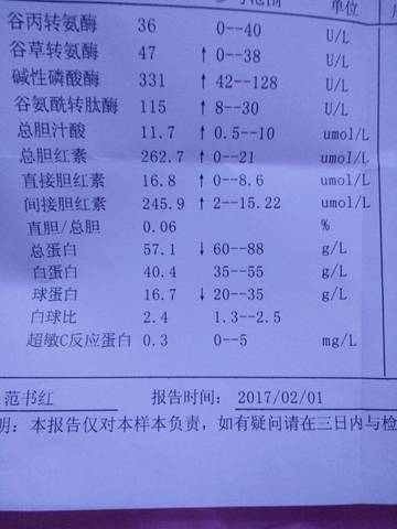 journal_insert_pic_660442158