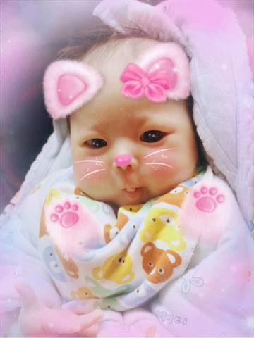 journal_insert_pic_660232855