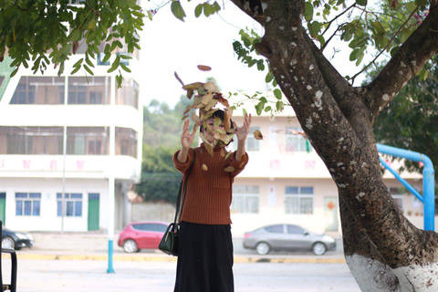 journal_insert_pic_660714750