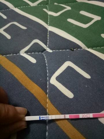 journal_insert_pic_662035533