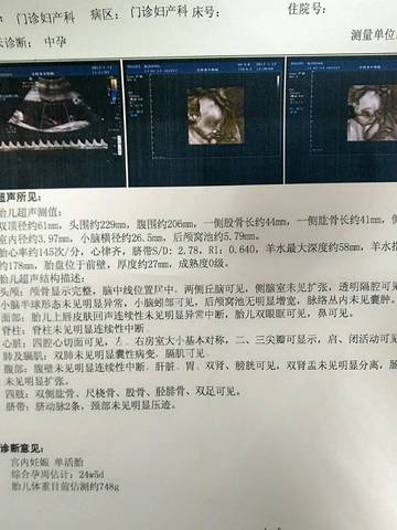 journal_insert_pic_663800829