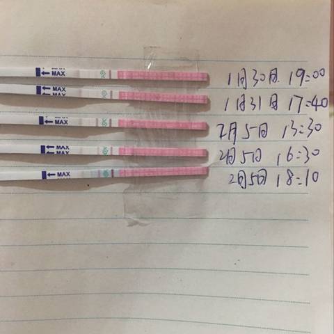 journal_insert_pic_663724004