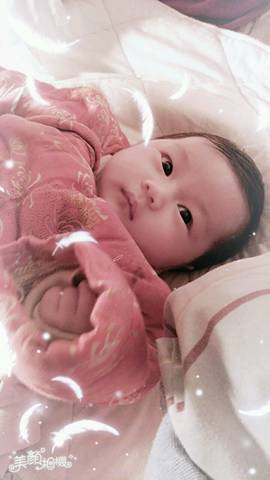 journal_insert_pic_664387261