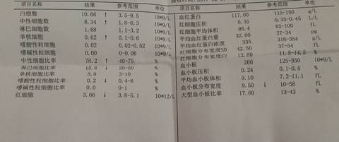 journal_insert_pic_665471506
