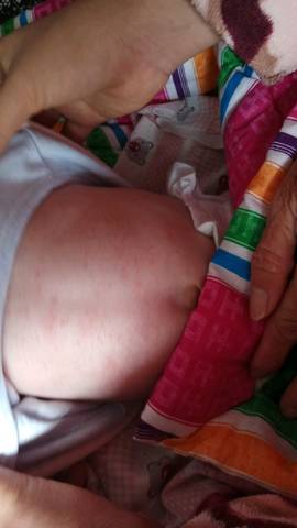journal_insert_pic_666093250