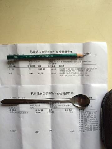 journal_insert_pic_666911124