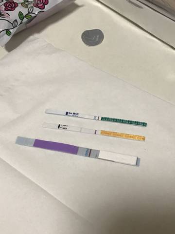 journal_insert_pic_668111762