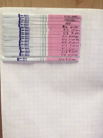 journal_insert_pic_667556295