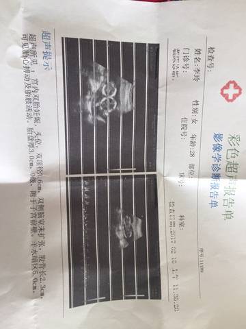 journal_insert_pic_668622791