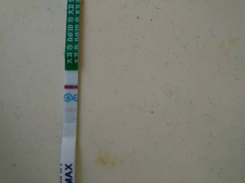 journal_insert_pic_669129086