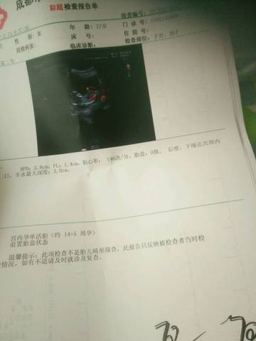 journal_insert_pic_669921516