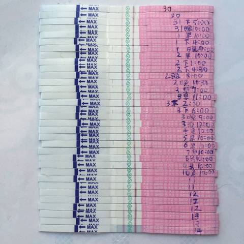 journal_insert_pic_670628217