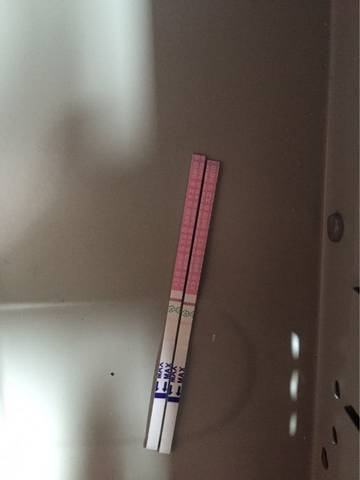 journal_insert_pic_670609819