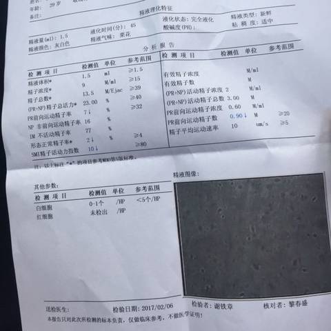 journal_insert_pic_671493333