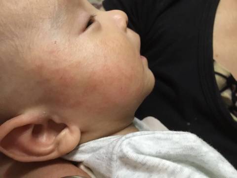 journal_insert_pic_672157042