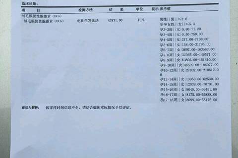 journal_insert_pic_672803437