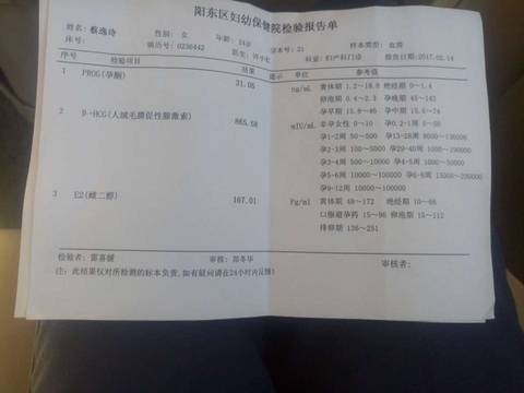 journal_insert_pic_673715898