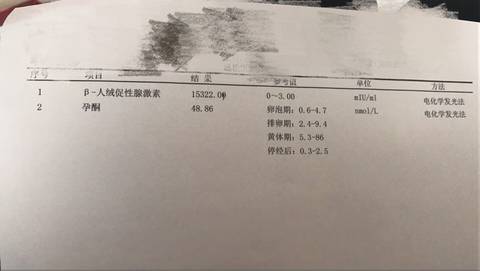 journal_insert_pic_673871892