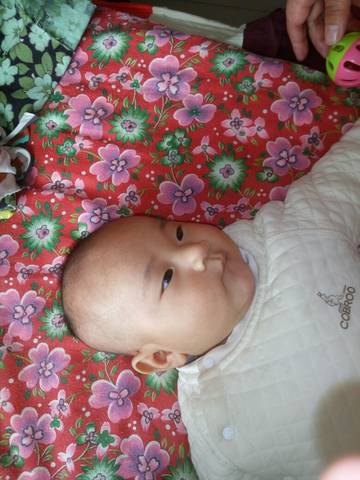 journal_insert_pic_674392083