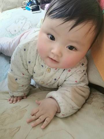 journal_insert_pic_675052335