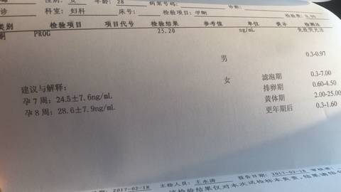 journal_insert_pic_675915405