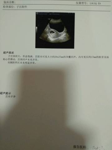 journal_insert_pic_676992862