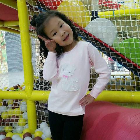 journal_insert_pic_677257051