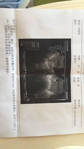 journal_insert_pic_676526433