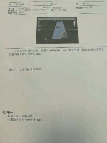 journal_insert_pic_676955765