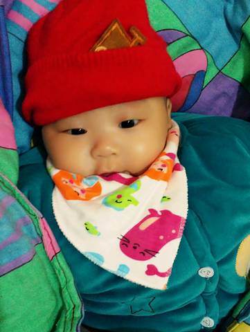 journal_insert_pic_677155415
