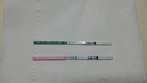 journal_insert_pic_677004464