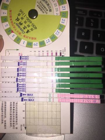 journal_insert_pic_678020017