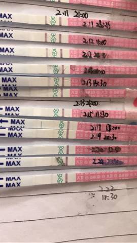 journal_insert_pic_677565367